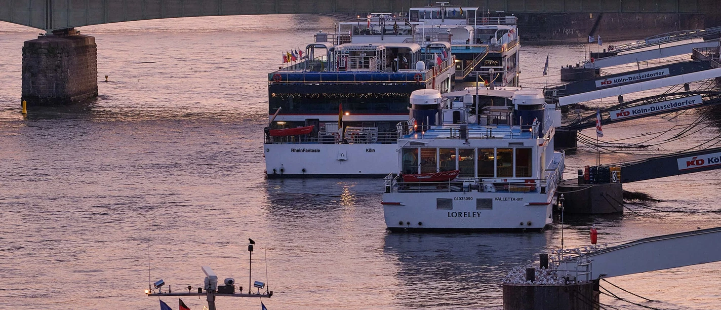 Ships Several excursion boats moored on the Rhine in front of a bridge, behind them modern buildings in the evening light
