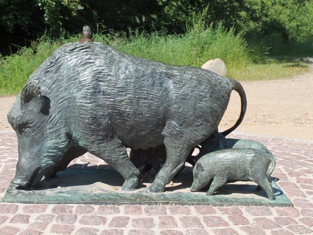 Ziehende Bache mit Frischlingen, Mölln
