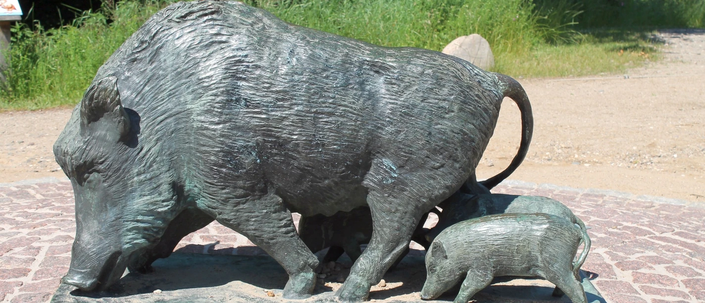 Ziehende Bache mit Frischlingen, Mölln