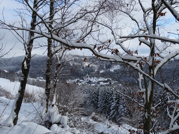 Blick auf den Ortskern von Nordenau
