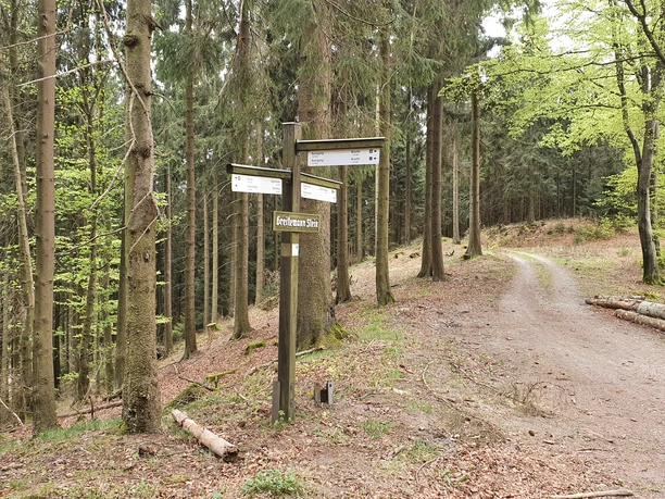 Weggabelung bei Greitemanns Stein