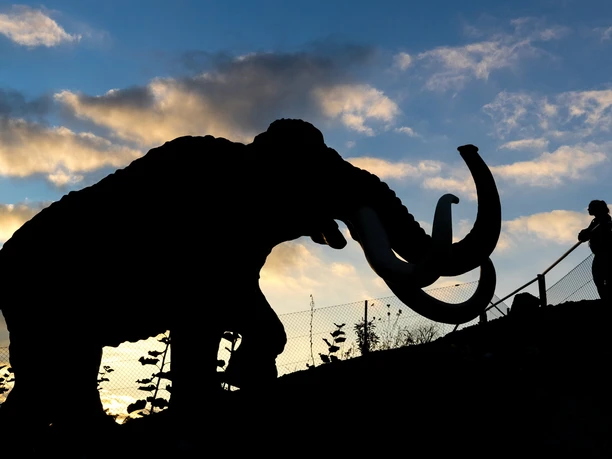 01cc3406aca15091b4ec67643a175404dc4ca56a49