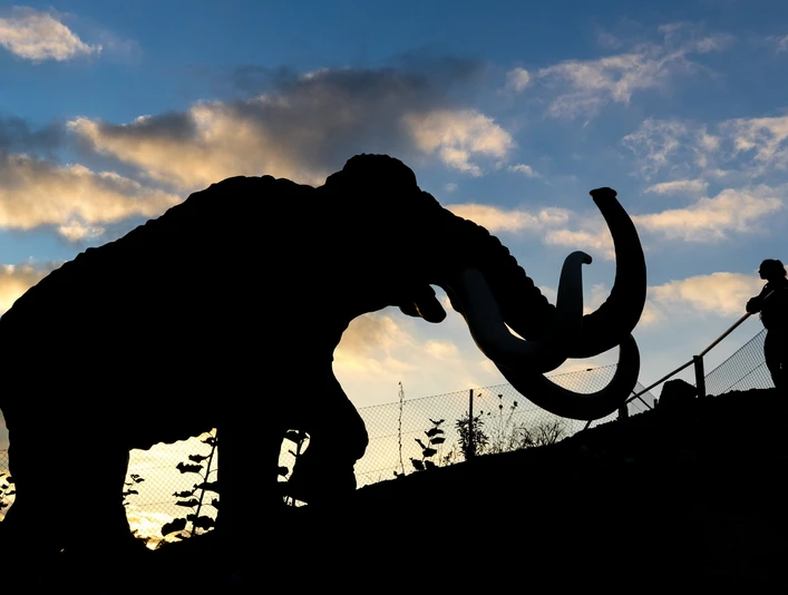 01cc3406aca15091b4ec67643a175404dc4ca56a49