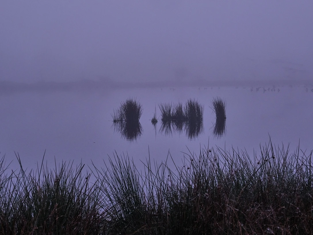 Grüner Samstag - Recker Moor