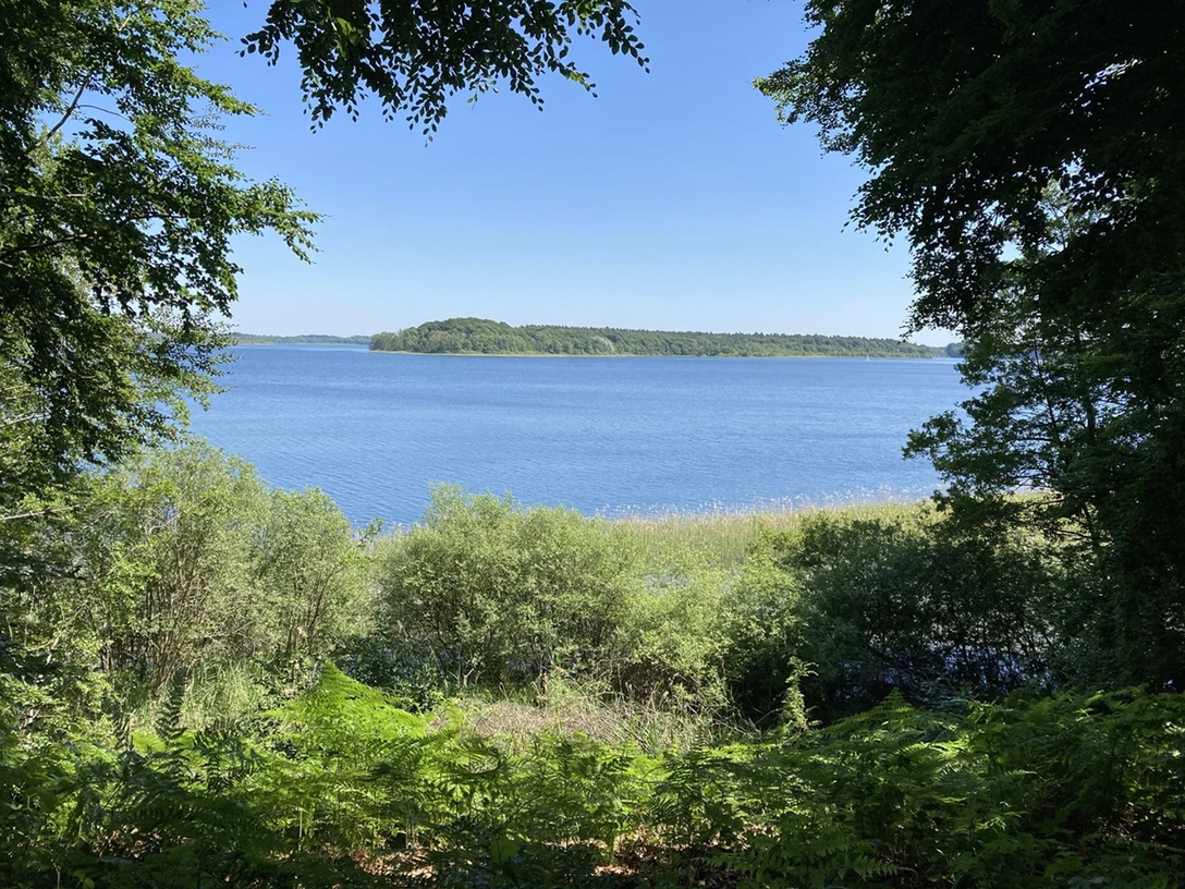 Der Seedorfer Werder