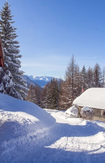Schneeschuhwandern Rosswald