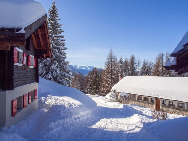 Schneeschuhwandern Rosswald