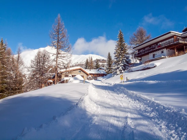 Schneeschuhwandern Rosswald