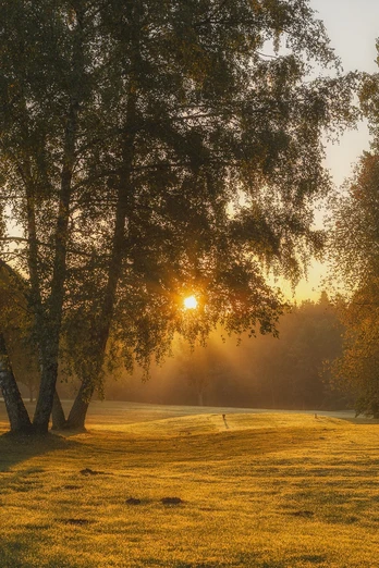 Sonnenaufgang am Golfplatz