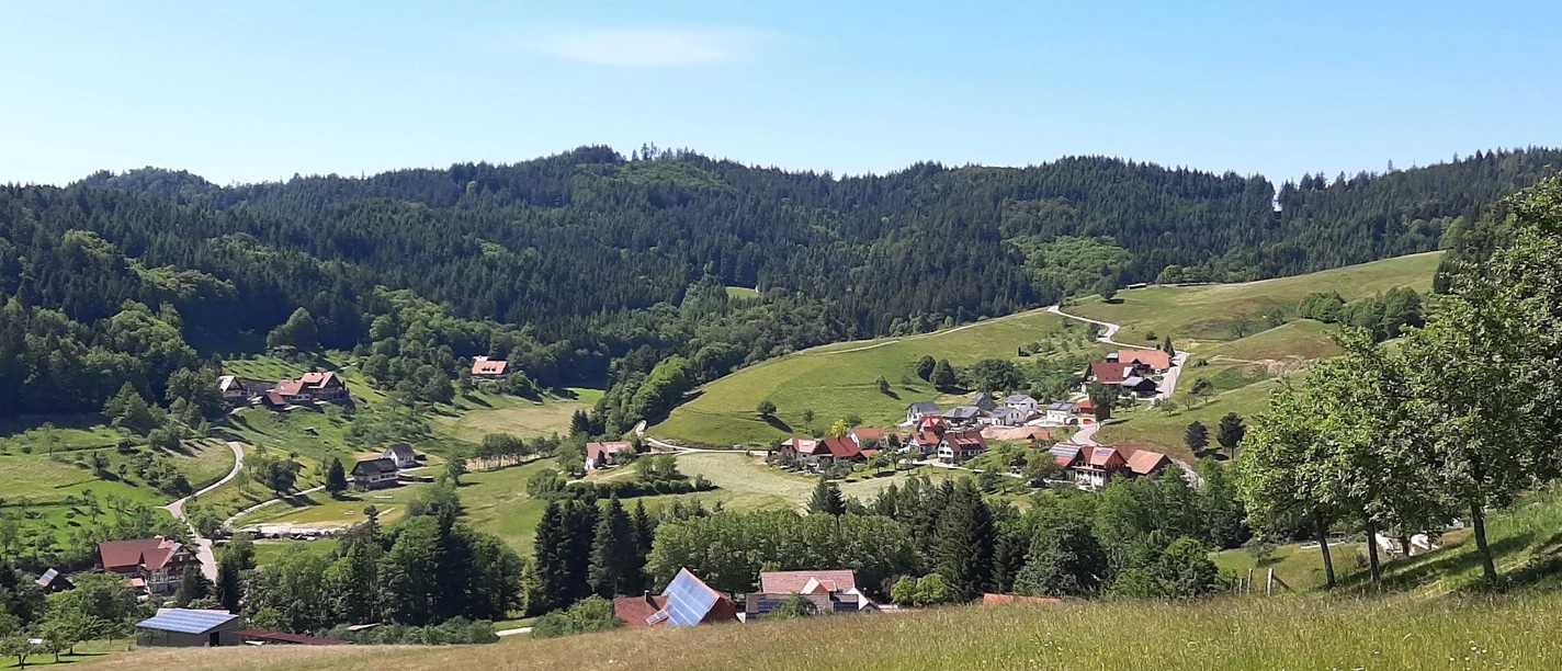 Blick in den Ortsteil Grimmerswald mit Häusern, Wiesen und Wald