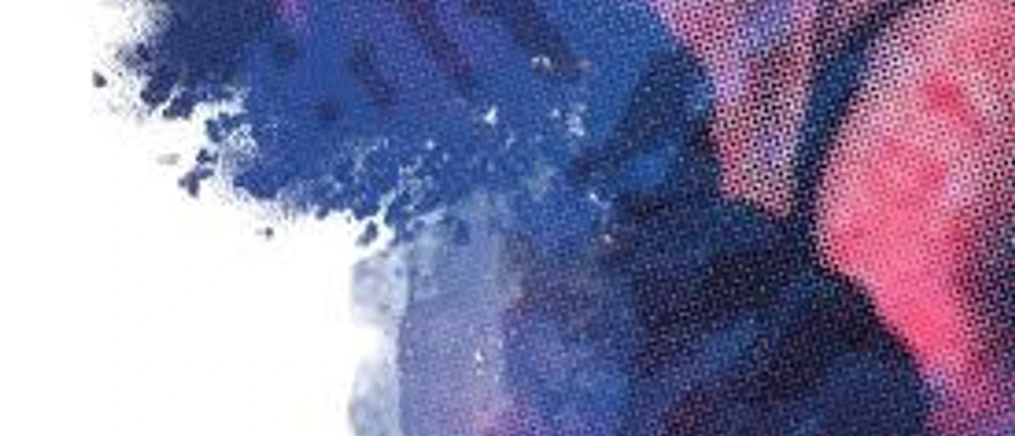 Winter in Schwetzingen 2025