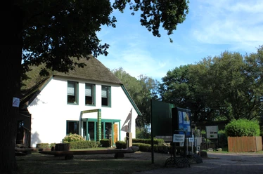 Dümmer Museum seitliche Ansicht