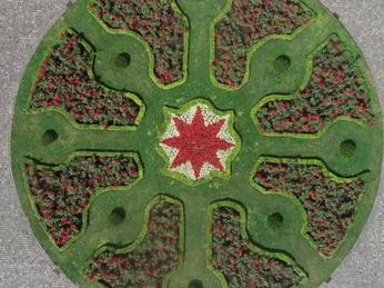 Rosenbeet "Waldecker Stern"