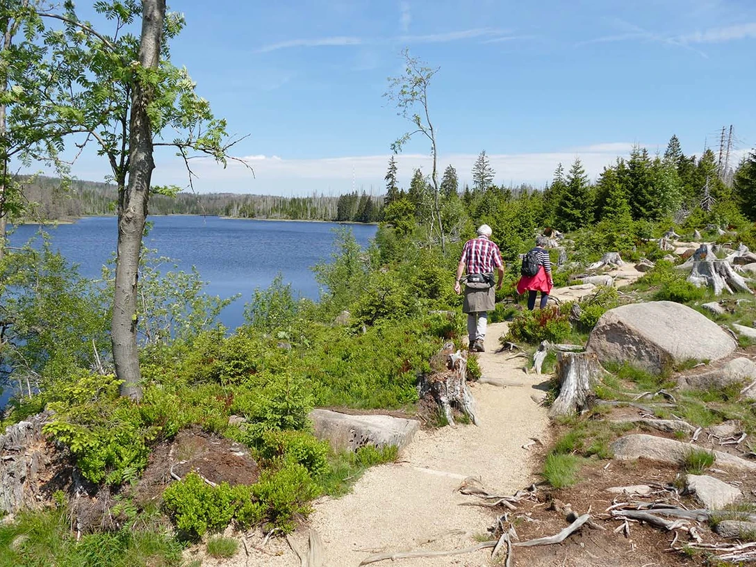 2022_06_03_Oderteich Rundweg_Martin Baumgartner.jpg