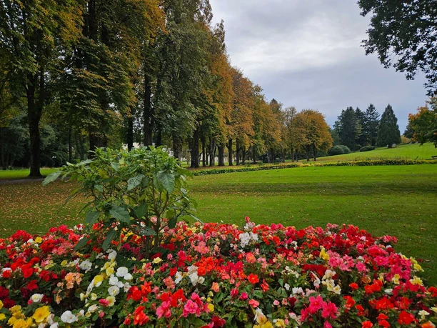 Bad Hermmansborn - Wiese Blumenbeet mit bunten Blüten vor weitläufiger Parkwiese und Baumreihe an einem bewölkten Tag