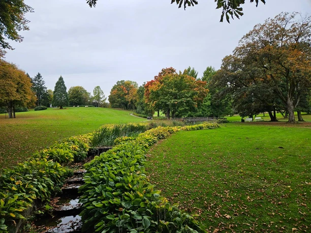 Bad Hermmansborn - Fluss Weite Parkwiese mit Bachlauf und Bäumen in herbstlichen Farben
