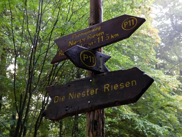 niester_riesen_7213a(1)