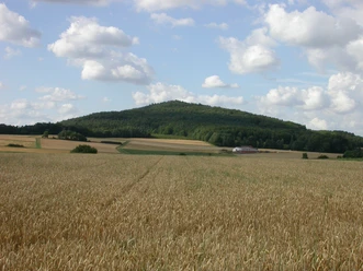 Bild Altenburg