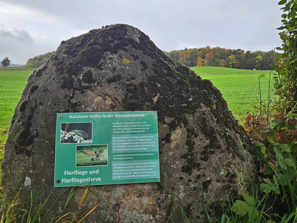 Herste-Obstlehrpfad Moosbewachsener Stein mit Infotafel am Obstlehrpfad vor Wiese und herbstlichem Waldrand.