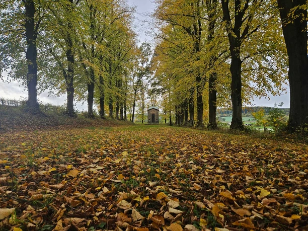 Allee mit gelb belaubten Bäumen und kleinem Ehrenmal am Ende auf leichtem Hügel