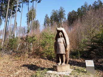 Ars-Natura Spangenberg-Schnellrode