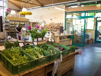 Biolandhof Apfelbacher in Bornheim 2018 Sommer Bornheim