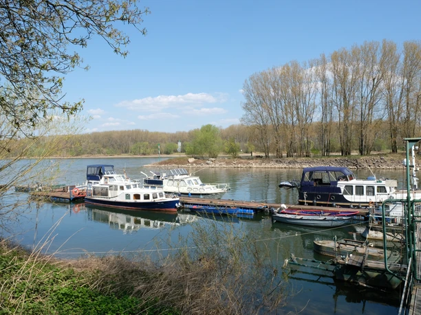 Herseler Werth, Bornheim