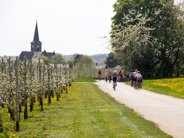 Radfahren im Frühjahr 2018 Frühling Meckenheimer Blütentour