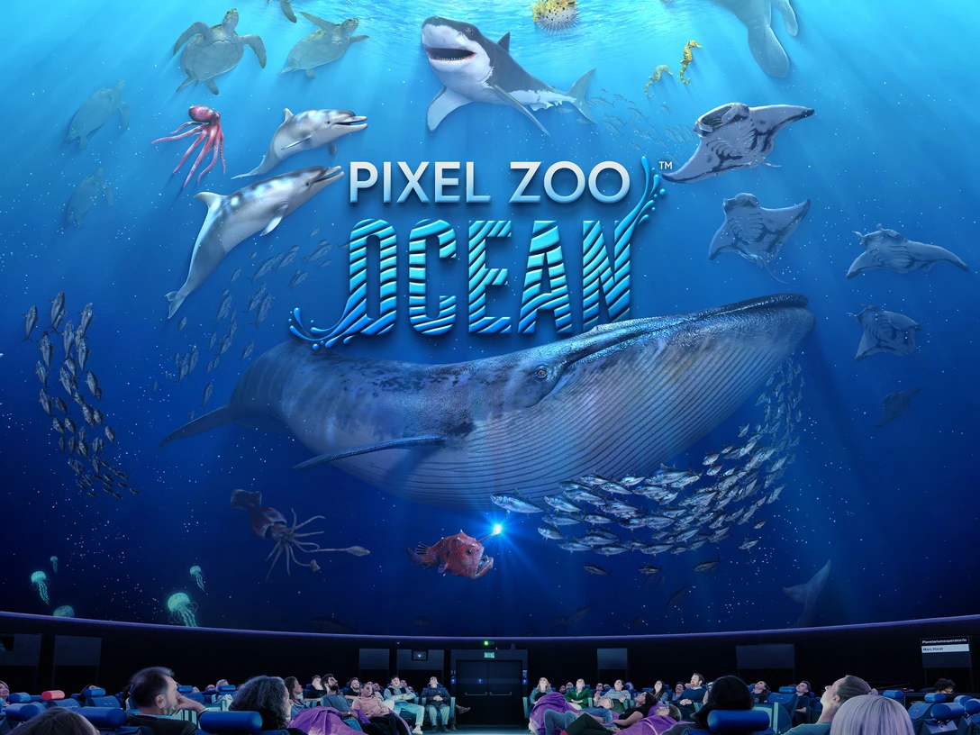 PixelZooOcean Dome Keyvisual Planetarium QUAD 02
