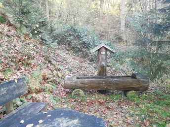 Neuwiese Brunnen am "Brünnelesweg"