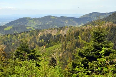 Blick zum Karlsruher Grat, auf die umliegenden Berge und ins Rheintal