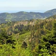Blick zum Karlsruher Grat, auf die umliegenden Berge und ins Rheintal
