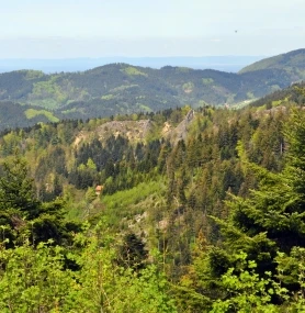 Blick zum Karlsruher Grat, auf die umliegenden Berge und ins Rheintal