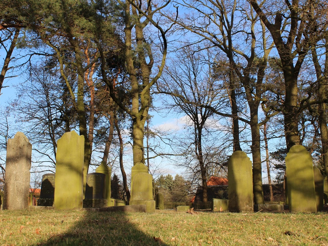 2026_03_29 Stolpersteine Jüdischer Friedhof Rehburg (002).jpg