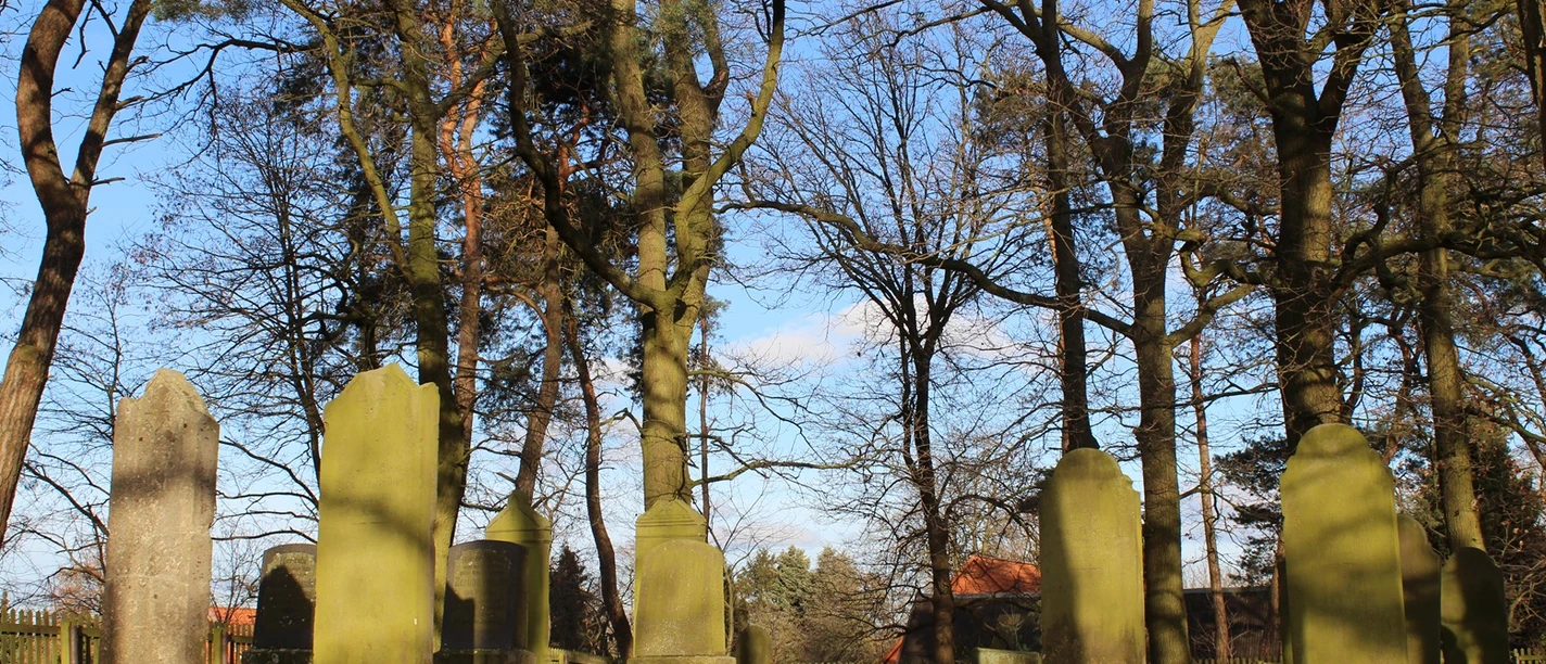 2026_03_29 Stolpersteine Jüdischer Friedhof Rehburg (002).jpg