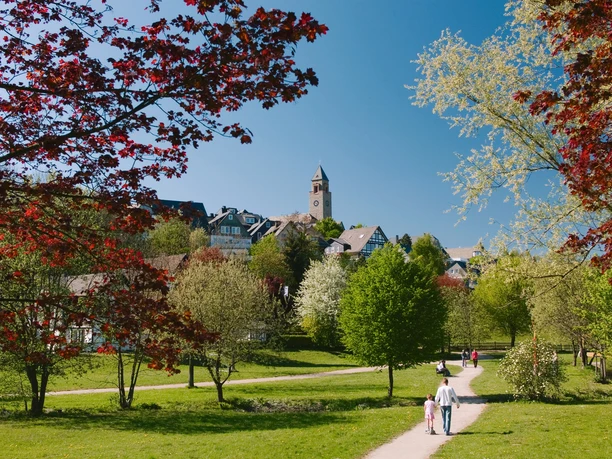 Der Kurpark in Schmallenberg