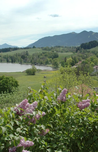 Wanderung - Zeitreise um Bad Bayersoien