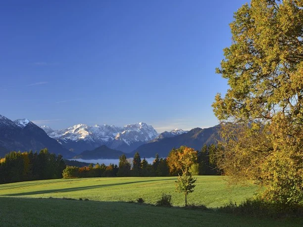 Wanderung - Guglhör-Rundweg - Blick Richtung Zugspitze