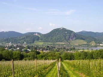 2018 Sommer Wachtberg