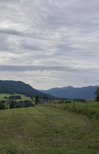 Böhmerweier-Runde: Ausblick