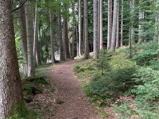 Böhmerweier-Runde