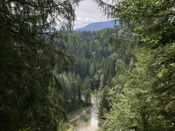 Ammer-Wasserscharpfen-Runde: Ausblick auf die Ammerschlucht