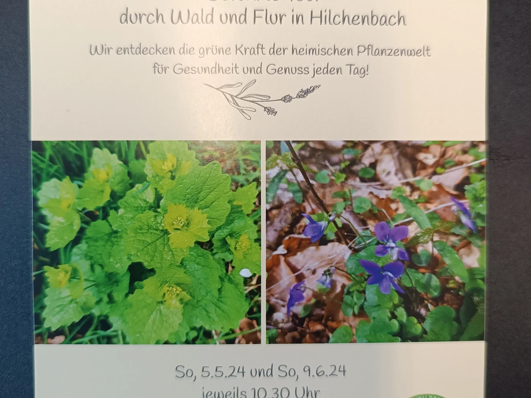 Flyer Essbare Wildpflanzen