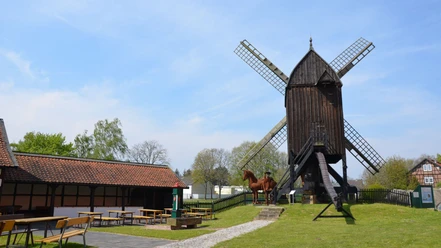 Mühlengarten_Salder_HD_16zu9.JPG Historische Bockwindmühle mit Holzbau, flankiert von Sitzbänken und Fachwerkhaus im Grünen.