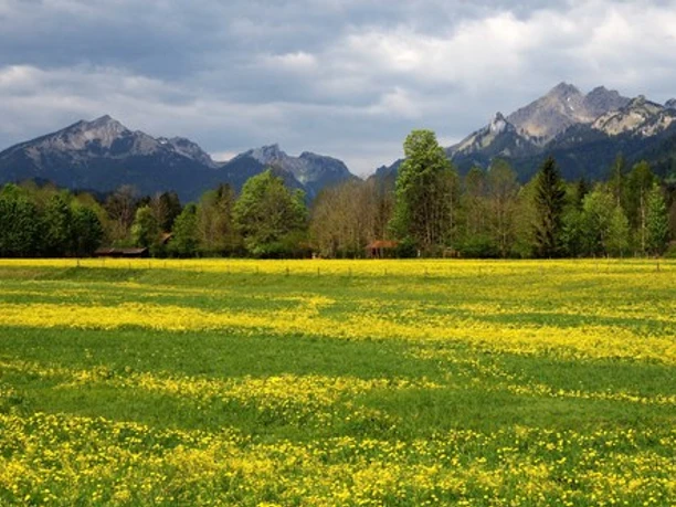 Fernwanderweg Meditationsweg Ammergauer Alpen - Blick ins Graswangtal