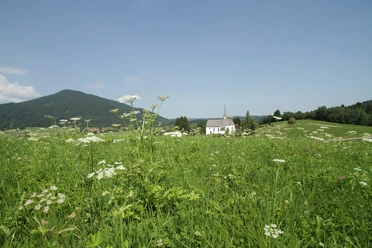 Wanderung - Hörnle-Alm