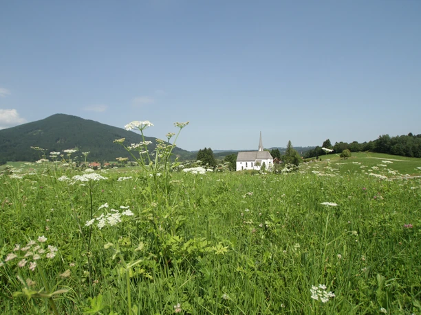 Wanderung - Hörnle-Alm