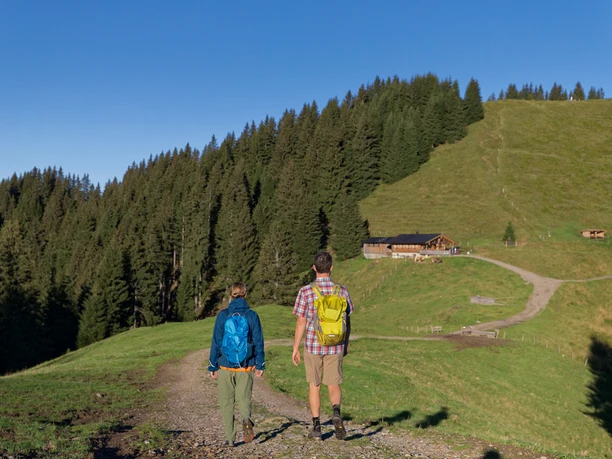 Wandern zur Hörnle-Alm