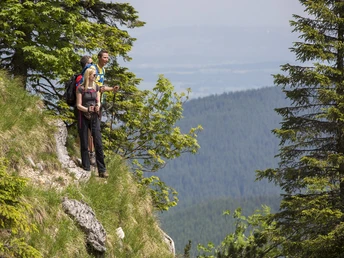 Pfad zum Laubeneck - Hüttenwanderung - Hüttenwoche Ammergauer Alpen