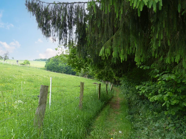 Natursteig Sieg Etappe 9